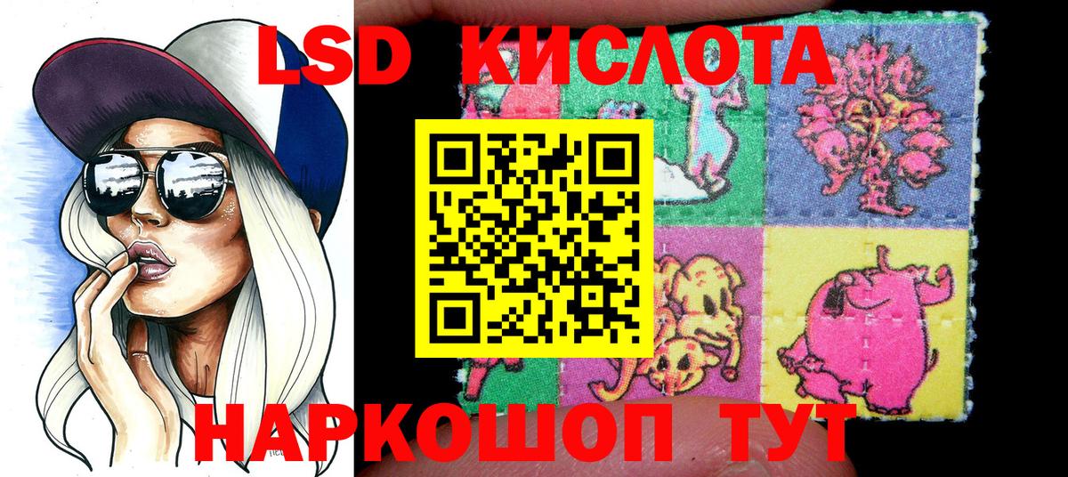 Свободный  Вход с VPN  МЕФ  